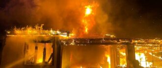 Пожар в Дмитровке под Бучей: погибла жена экс-замглавы КОДА, он и дочери в больнице