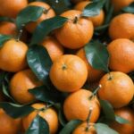 Продуктовые ярмарки в Киеве 4 января: адреса