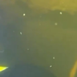 Водолази ДСНС провели підводну операцію при -15°C