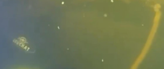 Водолази ДСНС провели підводну операцію при -15°C