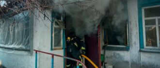 Троє людей загинуло в пожежах у Київській області