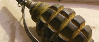 На Київщині поліція стріляла на ураження у чоловіка: що він накоїв