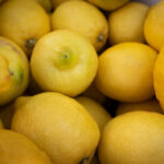 Продуктовые ярмарки в Киеве 24 – 25 января: адреса