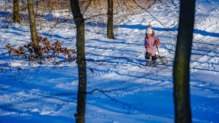 Світло вимикатимуть у всіх чергах: на Київщині та у столиці діятимуть графіки відключення електроенергії