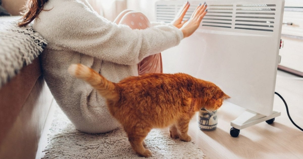 
 Скільки будинків у&nbsp;Києві досі залишаються без тепла: Кличко дав відповідь
 