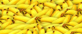 Продуктовые ярмарки в Киеве 20 – 23 января: адреса