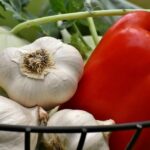 Продуктовые ярмарки в Киеве 10 – 13 февраля: адреса