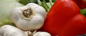 Продуктовые ярмарки в Киеве 10 – 13 февраля: адреса