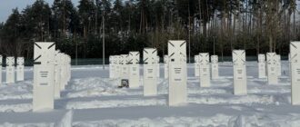 "Сперечаємось за клаптик землі, де їх захоронити". НВМК продовжує поховання військових після постанови Верховного суду