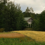 Що таке кадастровий номер і навіщо він потрібен власнику земельної ділянки?