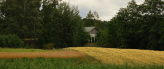 Що таке кадастровий номер і навіщо він потрібен власнику земельної ділянки?