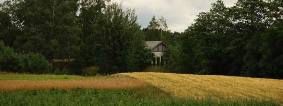 Що таке кадастровий номер і навіщо він потрібен власнику земельної ділянки?