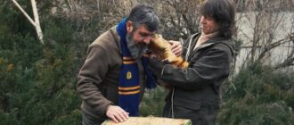 Коли настане весна 2026: харківський бабак Тимко зробив свій прогноз