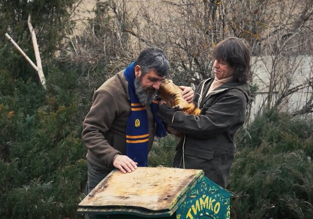 Коли настане весна 2026: бабак Тімко зробив свій прогноз. 