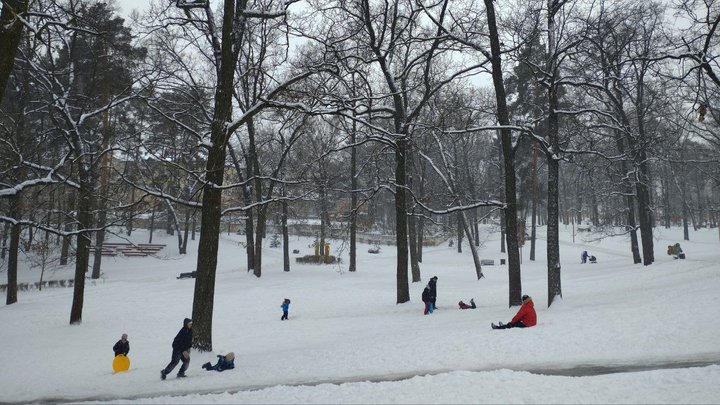 Київська область повернулася до графіків відключення світла
