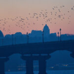 У Києві оголошено І рівень небезпеки: якою буде погода 19 лютого