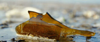 Розбив пляшку об голову і завдав чотирьох ударів ножем: у Білій Церкві чоловік напав на рідного брата