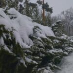 На Київщині вдень прогнозують від мінус 5 до 0 градусів: у столиці та області синоптики обіцяють потепління