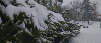 На Київщині вдень прогнозують від мінус 5 до 0 градусів: у столиці та області синоптики обіцяють потепління