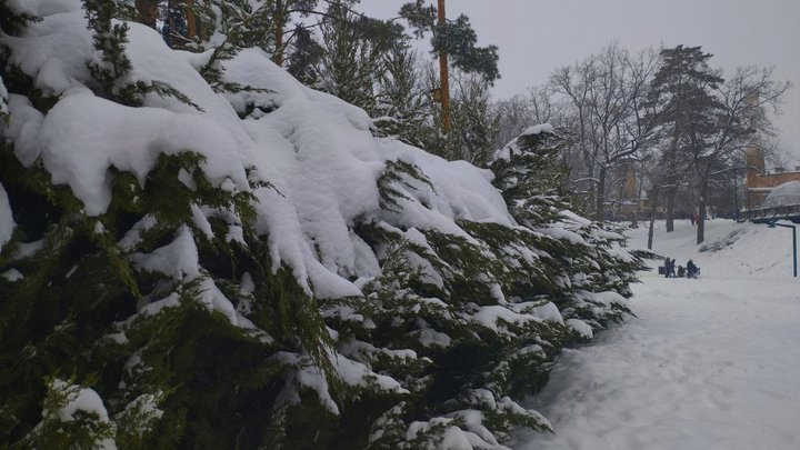 На Київщині вдень прогнозують від мінус 5 до 0 градусів: у столиці та області синоптики обіцяють потепління