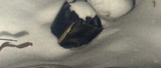 Ніж біля горла: у Києві затримали молодика, який напав на жінку посеред вулиці (фото)