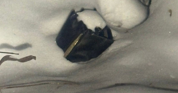 
 Ніж біля горла: у&nbsp;Києві затримали молодика, який напав на&nbsp;жінку посеред вулиці (фото)
 