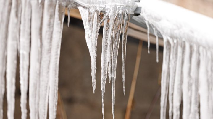 Знову сніг: киян закликали бути обережними у зв'язку з погодою, а Київавтодор пояснив, як прибирає дороги