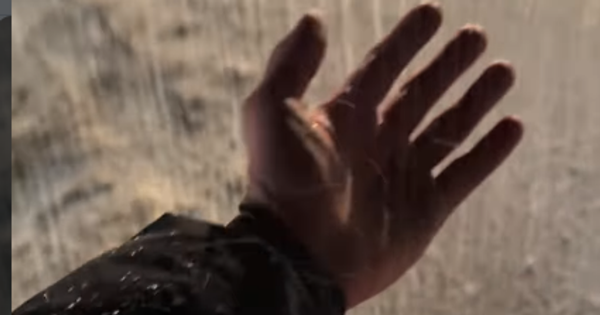 
 Під час гасіння пожежі в&nbsp;Києві вода перетворювалася на&nbsp;заметіль: рятувальники показали унікальне відео
 