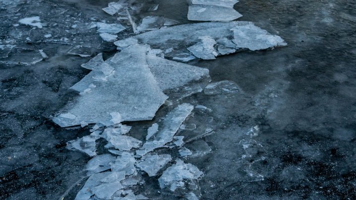 Знову сніг: киян закликали бути обережними у зв'язку з погодою, а Київавтодор пояснив, як прибирає дороги