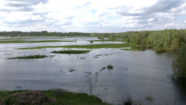 Знову сніг: киян закликали бути обережними у зв'язку з погодою, а Київавтодор пояснив, як прибирає дороги