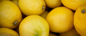 Продуктовые ярмарки в Киеве 25 - 27 февраля: адреса