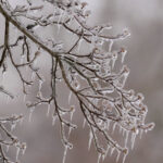 Потепління буде недовго: якою буде погода в Києві та коли повернуться морози