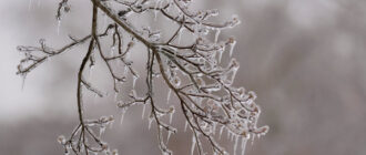 Потепління буде недовго: якою буде погода в Києві та коли повернуться морози