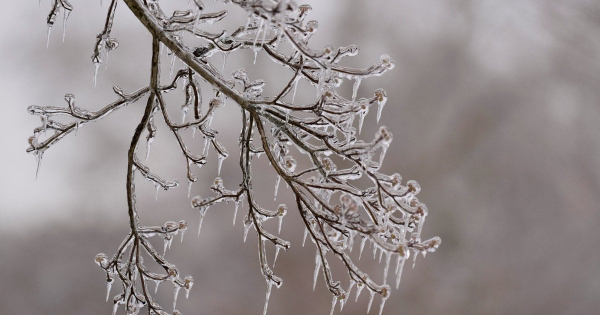 
 Потепління буде недовго: якою буде погода в&nbsp;Києві та&nbsp;коли повернуться морози
 