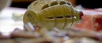 П’яний іноземець з гранатою тероризував перехожих у Києві: чим усе закінчилось