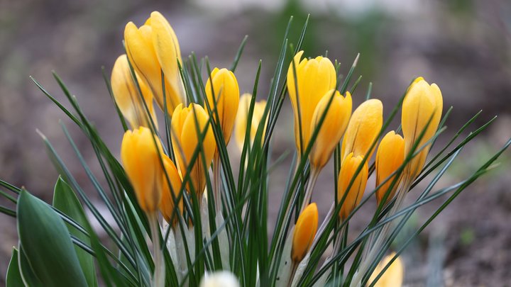 Негода у Києві та області увечері 31 березня: синоптики оголосили І рівень небезпечності