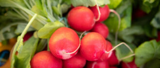 Продуктовые ярмарки в Киеве 24 – 27 марта: адреса