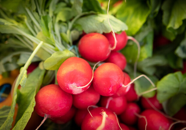 Где на этой неделе в Киеве пройдут ярмарки. Адреса 