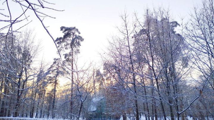 Синоптики зафіксували перший весняний рекорд на Київщині та підбили погодні підсумки лютого у столиці