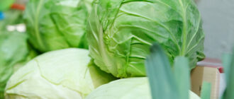 Продуктовые ярмарки в Киеве 31 марта – 3 апреля: адреса