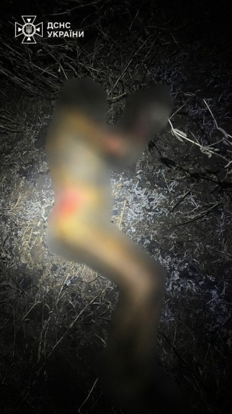  Вогонь охопив десятки гектарів: на Київщині під час спалювання сухостою загинув чоловік (фото) 