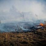 За добу ДСНС Київщини гасили 20 пожеж на 18 га: людей просять не палити траву