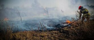 За добу ДСНС Київщини гасили 20 пожеж на 18 га: людей просять не палити траву