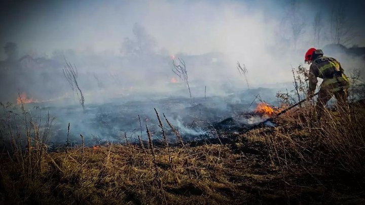 За добу ДСНС Київщини гасили 20 пожеж на 18 га: людей просять не палити траву