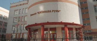 Гімназію "Київська Русь" у Дарницькому районі закрили: що буде з будівлею