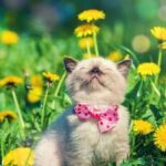 Вихідні в Україні у березні 2026: скільки відпочиватимемо