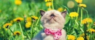 Вихідні в Україні у березні 2026: скільки відпочиватимемо