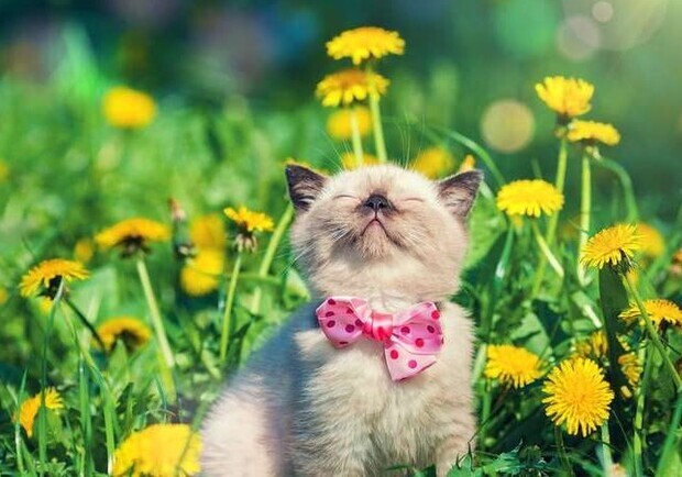 Вихідні в Україні у березні 2026: скільки відпочиватимемо. 