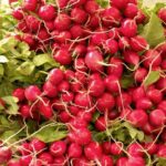 Продуктовые ярмарки в Киеве 14 – 15 марта: адреса