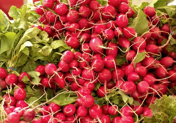 Где в эти выходные в Киеве пройдут продуктовые ярмарки. Адреса 